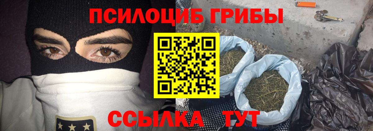 Псилоцибиновые грибы прущие грибы Нижневартовск